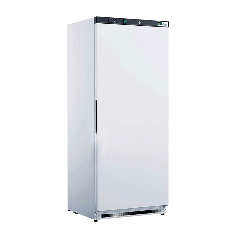 Armoires de congélation portes pleines — A60BNP-2 — 555 L
