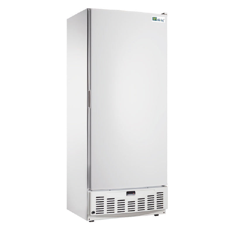Armoires réfrigérées portes pleines AFI Collin-Lucy — N500P — 520 L