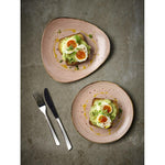 Assiettes avec rebord Churchill Stonecast Raw Terracotta Evolve 260mm (Lot de 12) — CU652