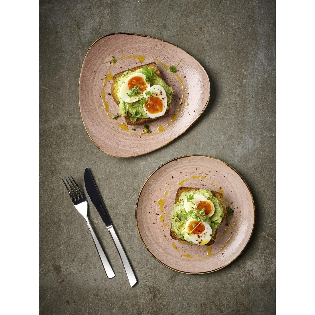 Assiettes avec rebord Churchill Stonecast Raw Terracotta Evolve 260mm (Lot de 12) — CU652
