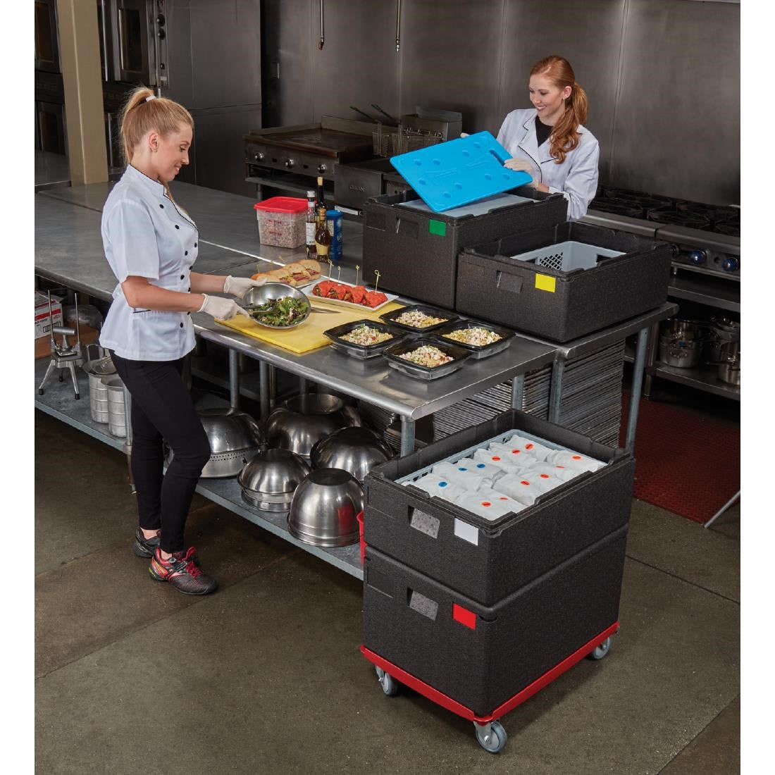 Plaque eutectique froide Cambro GN 1/1 — DB152