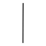 Pailles en papier Fiesta Compostable noires (lot de 250) — DE926