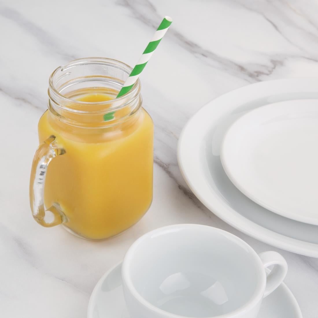 Pailles en papier Fiesta Compostable rayées vert et blanc (lot de 250) — DE928