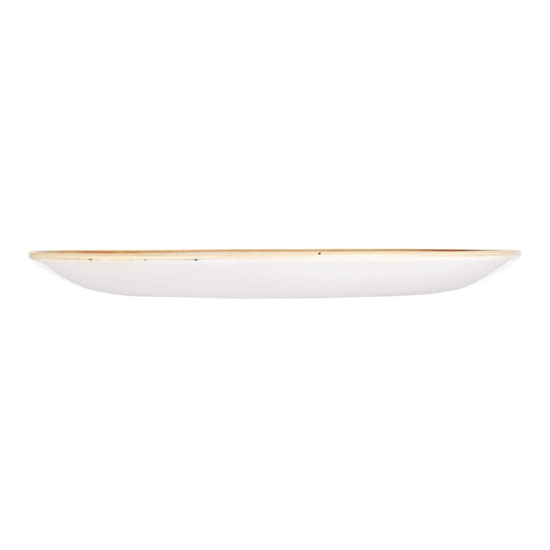 Assiettes rondes Churchill Stonecast Duck Egg Blue 260mm (Lot de 12) — DK500