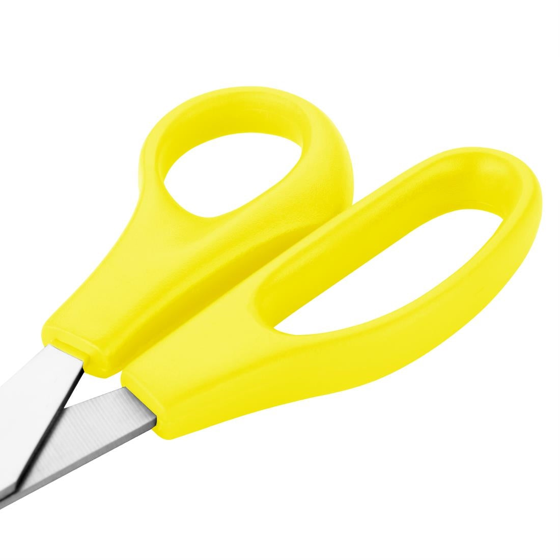Texte alternatif de l'image