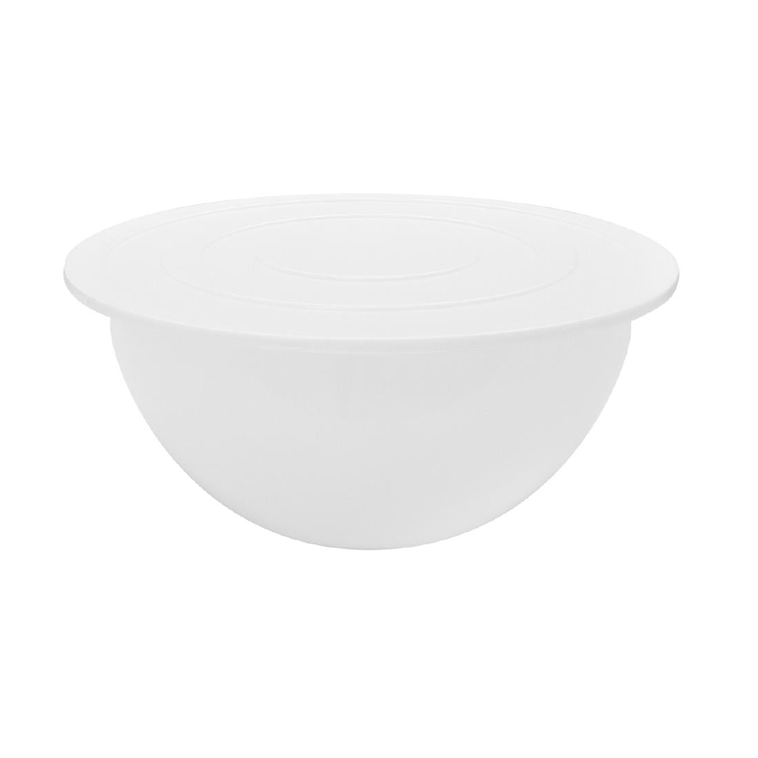 Bassine en polypropylène Schneider 13L — DR545
