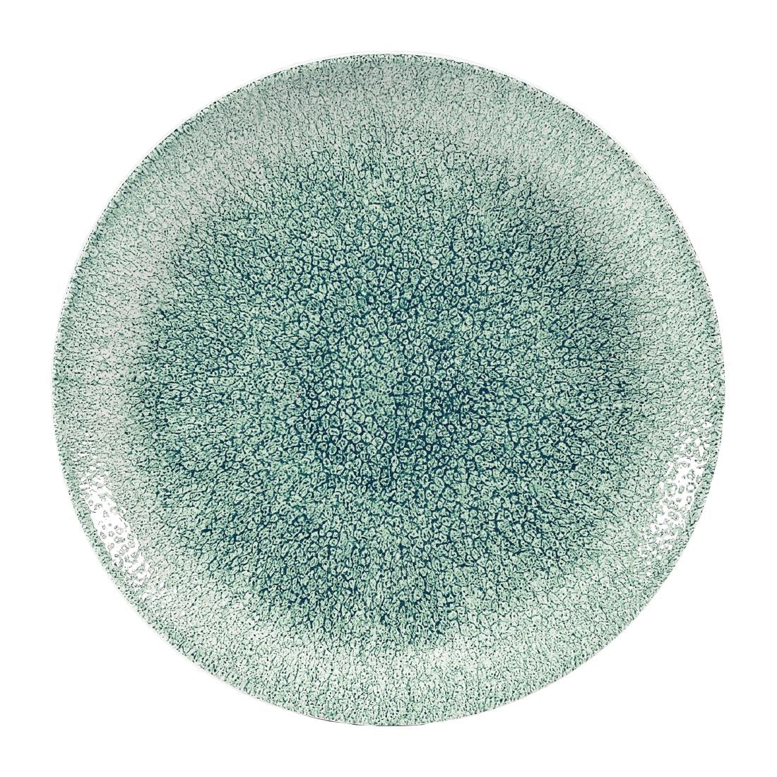 Assiettes coupe ronde Churchill Studio Prints Raku Jade Green 182mm (Lot de 12) — DW404