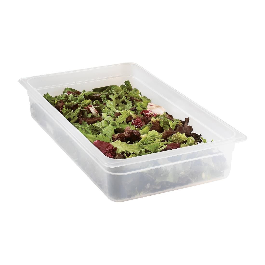Bac polypropylène Cambro GN 1/1 100mm — DW500