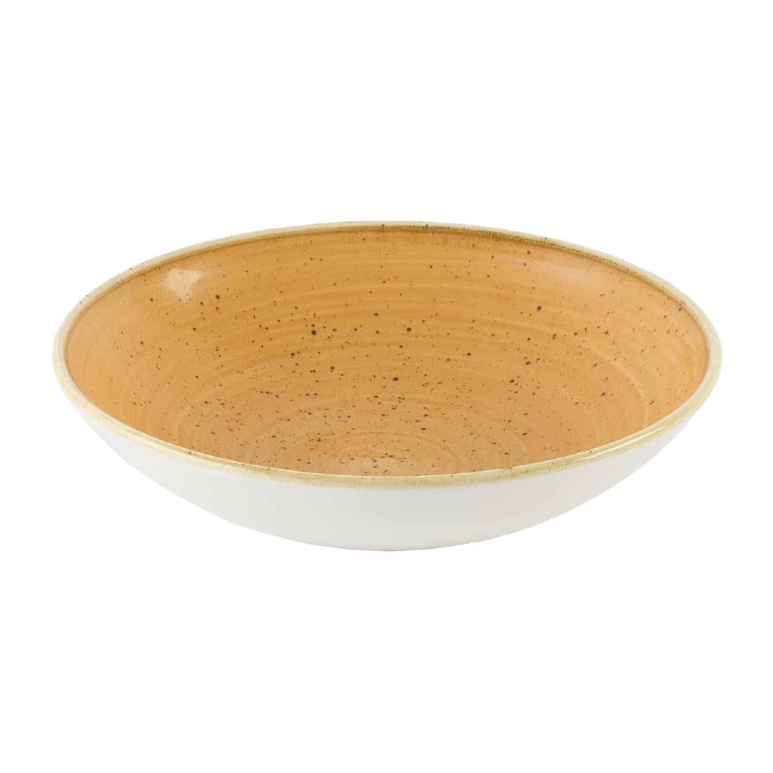 Bols Churchill Stonecast Tangerine 182mm (Lot de 12) — DX777