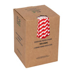 Pailles à smoothie compostables en papier Fiesta Compostable rouges 210mm (lot de 250) — FB147