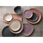 Assiettes coupes rondes Churchill Stonecast Lavender Evolve 286mm (lot de 12) — FR020