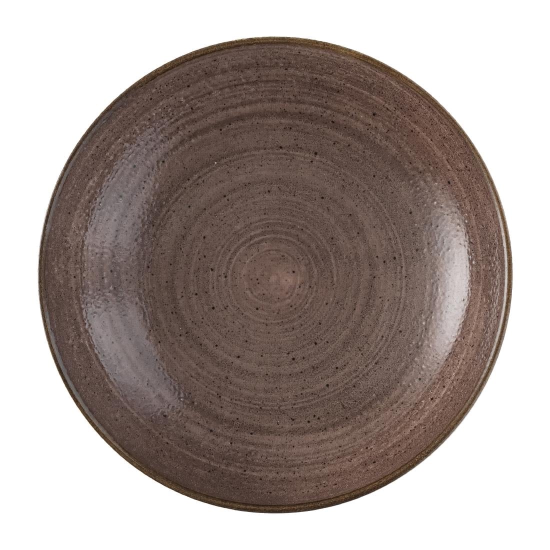 Bols Churchill Stonecast Raw Evolve Brown 248mm (Lot de 12) — FS850