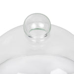 Cloche en verre 210mm — GJ532