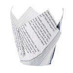 Cornets à frites antigraisse motif papier journal (lot de 1100) — GK973