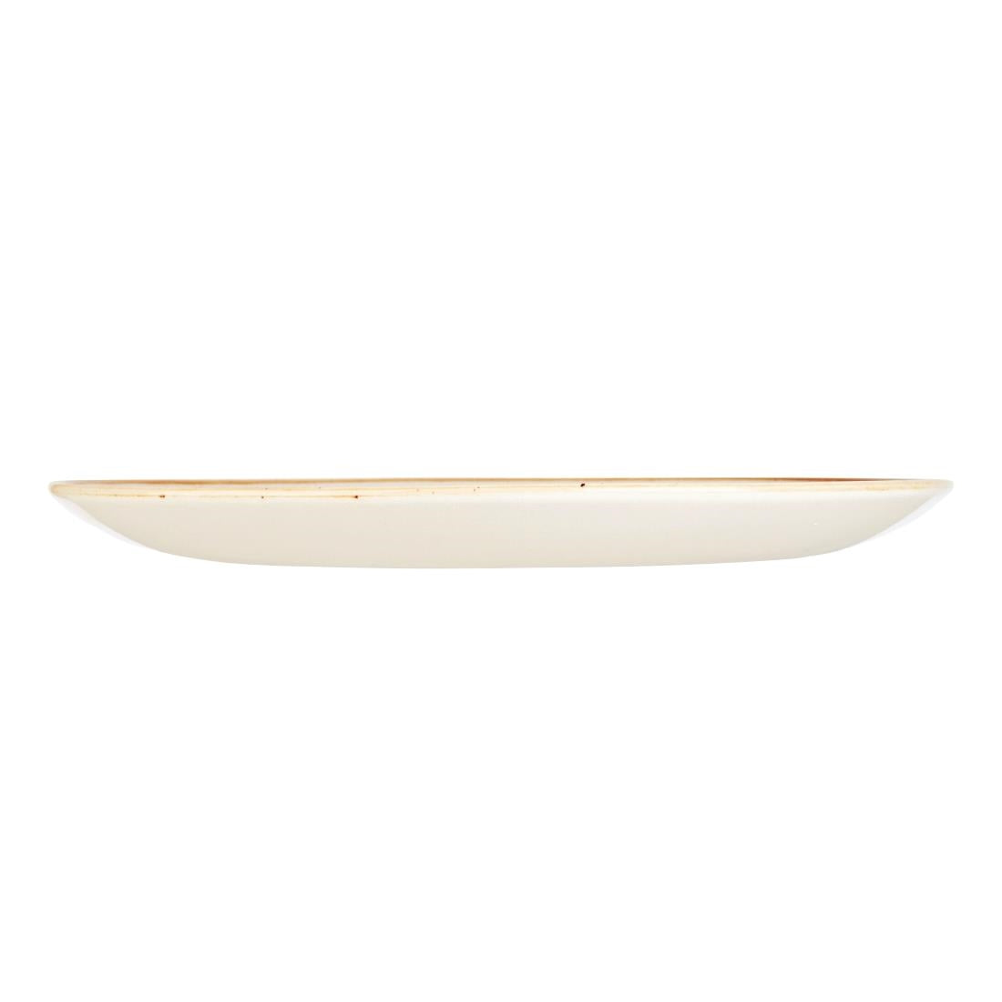 Assiettes rondes Churchill Stonecast Spiced Orange Evolve 288mm (lot de 12) — GP941