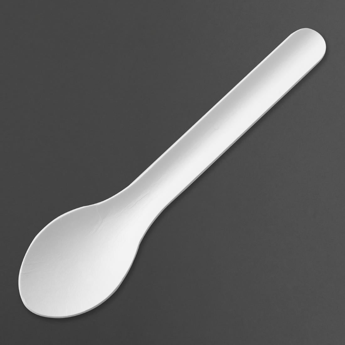 Cuillères en papier Fiesta Compostable 150 mm (lot de 100) — HT485