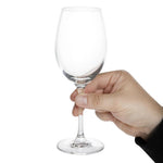 Verres à vin blanc en cristal Olympia Novello 255ml (lot de 6) — HW652