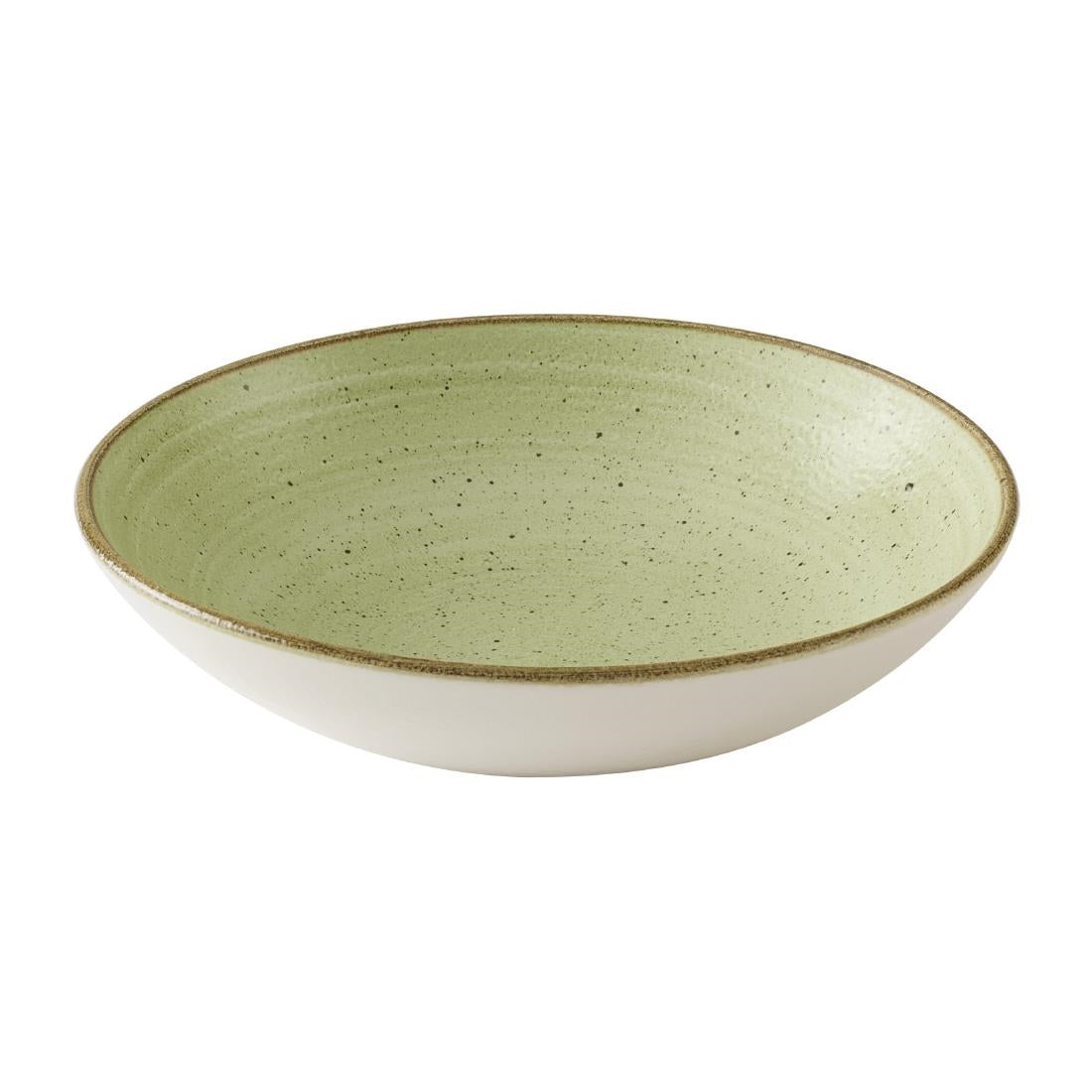 Bols Churchill Stonecast Raw Green Evolves 248mm (Lot de 12) — HX042