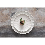 Assiettes festonnées Olympia Bloom blanches 175 mm (lot de 6) — JB393