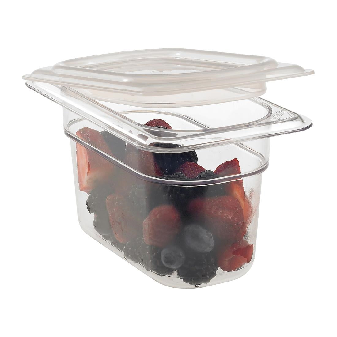 Bac sans BPA Camview Cambro GN 1/9 100mm — JP388